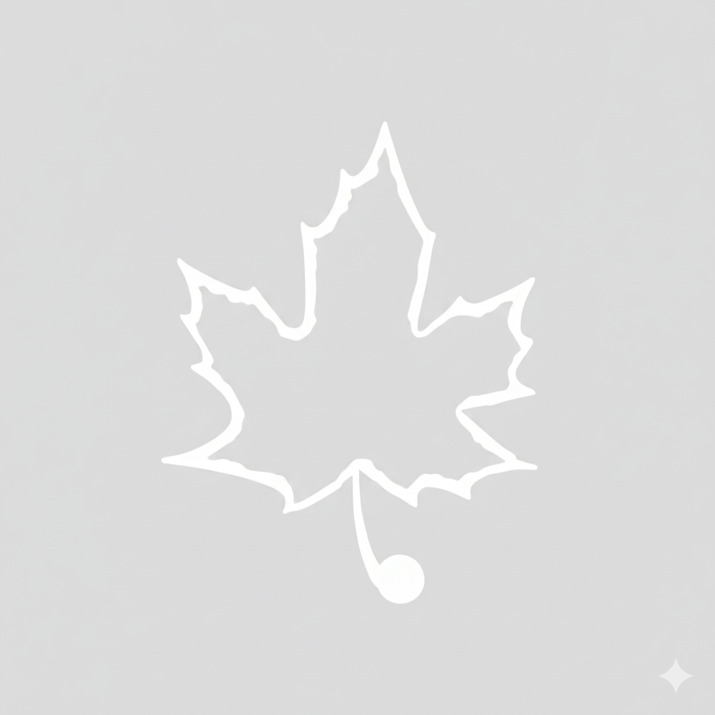 HOSPITAL SÃO FRANCISCO DE PAULA